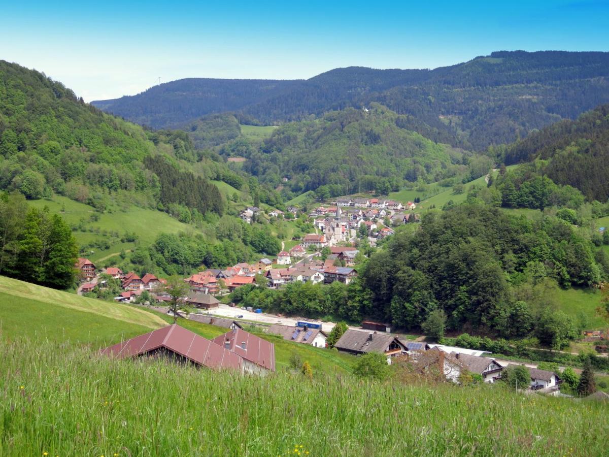 巴特彼得斯塔尔-格里斯巴赫Am Doettelbach公寓 外观 照片